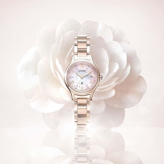 シチズン クロスシー-世界限定 1,300本|ES9498-69N 画像3