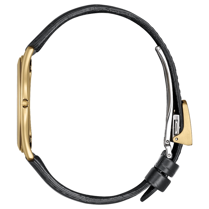 エコ・ドライブ ワン-世界限定250本|AQ5022-02L 画像1